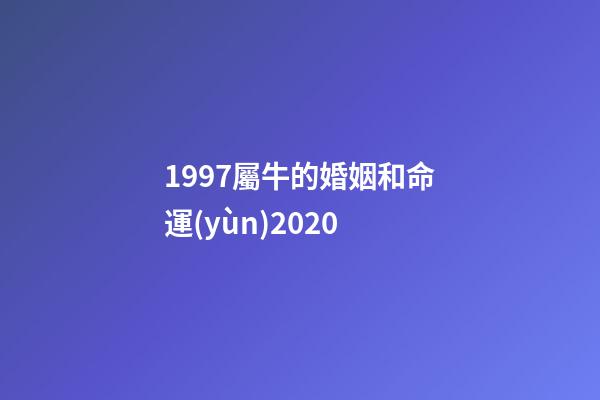 1997屬牛的婚姻和命運(yùn)2020 (屬牛男1997在2020婚姻)-第1張-觀點(diǎn)-玄機(jī)派